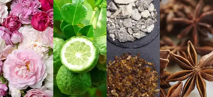 Kokular dünyasına ne kadar hâkimsin? Bu testi çöz, parfümler hakkında ne kadar bilgilisin görelim!